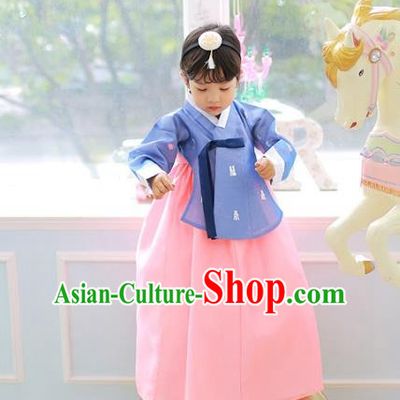 Korean National Handmade Formal Occasions Girls Clothing Palace Hanbok Costume Embroidered Blue Blouse and Pink Dress for Kids