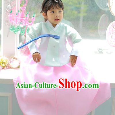 Korean National Handmade Formal Occasions Girls Clothing Palace Hanbok Costume Embroidered Green Blouse and Pink Dress for Kids