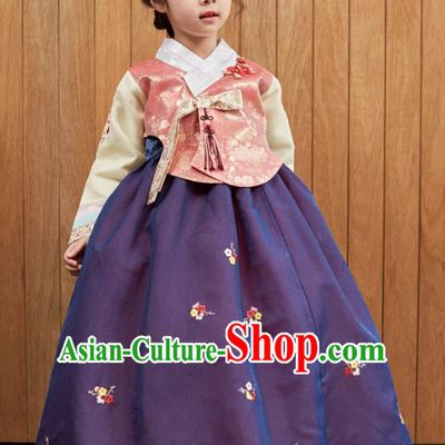 Korean National Handmade Formal Occasions Girls Clothing Palace Hanbok Costume Embroidered Pink Blouse and Purple Dress for Kids
