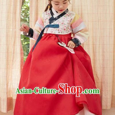 Traditional Korean National Handmade Formal Occasions Girls Clothing Palace Hanbok Costume Embroidered White Blouse and Red Dress for Kids