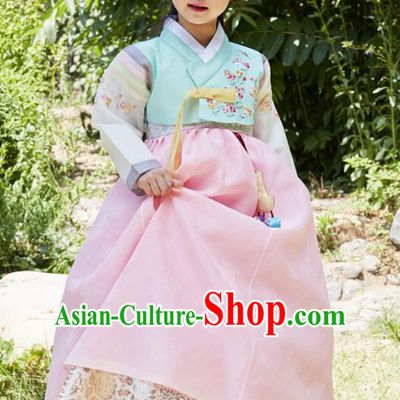 Traditional Korean National Handmade Formal Occasions Girls Clothing Palace Hanbok Costume Embroidered Green Blouse and Pink Dress for Kids
