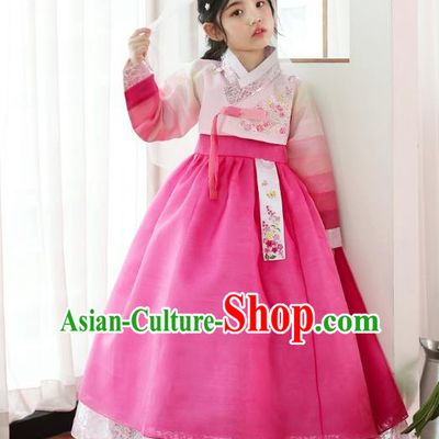 Traditional Korean National Handmade Formal Occasions Girls Clothing Palace Hanbok Costume Embroidered Pink Blouse and Rosy Dress for Kids