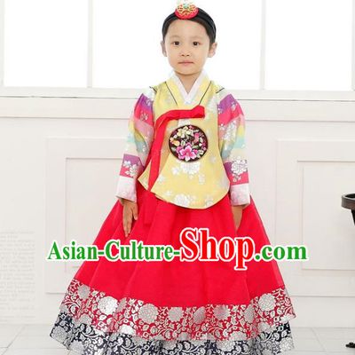 Traditional Korean National Handmade Formal Occasions Girls Clothing Palace Hanbok Costume Embroidered Yellow Blouse and Red Dress for Kids