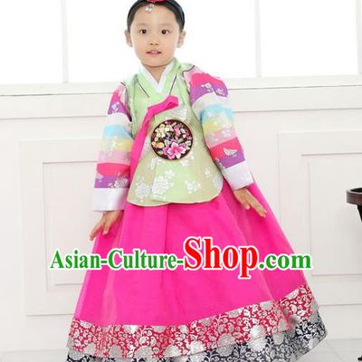 Traditional Korean National Handmade Formal Occasions Girls Clothing Palace Hanbok Costume Embroidered Green Blouse and Rosy Dress for Kids