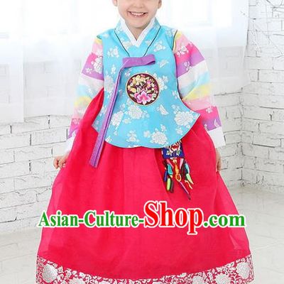 Traditional Korean National Handmade Formal Occasions Girls Clothing Palace Hanbok Costume Embroidered Blue Blouse and Red Dress for Kids
