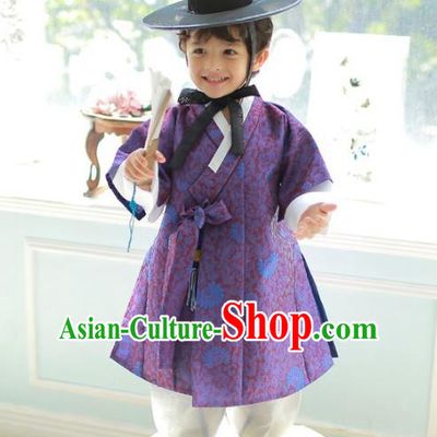 Asian Korean National Traditional Handmade Formal Occasions Boys Embroidered Purple Vest Hanbok Costume Complete Set for Kids
