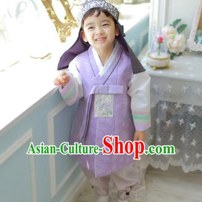 Asian Korean National Traditional Handmade Formal Occasions Boys Embroidery Purple Vest Hanbok Costume Complete Set for Kids