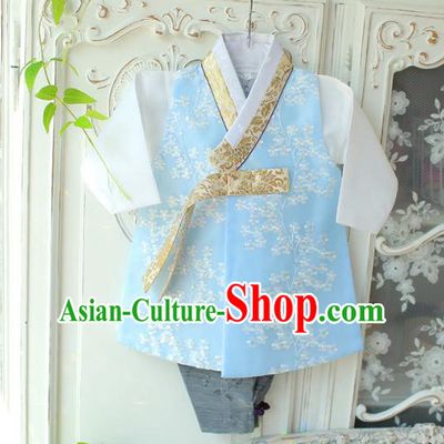 Asian Korean National Traditional Handmade Formal Occasions Boys Embroidery Blue Vest Hanbok Costume Complete Set for Kids