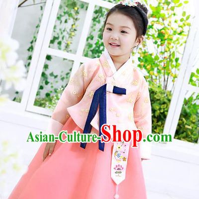 Traditional Korean National Handmade Formal Occasions Girls Palace Hanbok Costume Embroidered Pink Blouse and Dress for Kids