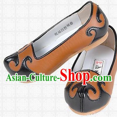 Traditional Korean National Embroidered Shoes, Asian Korean Hanbok Children Brown Shoes for Boys