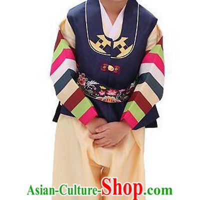 Traditional Korean Handmade Hanbok Embroidered Navy Clothing, Asian Korean Apparel Hanbok Embroidery Bridegroom Costume for Kids