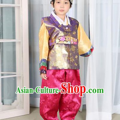 Traditional Korean National Handmade Court Embroidered Purple Costume, Asian Korean Boys Hanbok Clothing for Kids