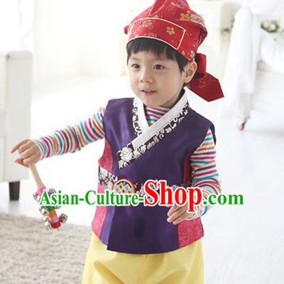 Traditional Korean Handmade Hanbok Embroidered Purple Costume, Asian Korean Apparel Hanbok Embroidery Clothing for Boys