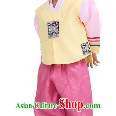 Traditional Korean Handmade Hanbok Embroidered Yellow Formal Occasions Costume, Asian Korean Apparel Hanbok Clothing for Boys