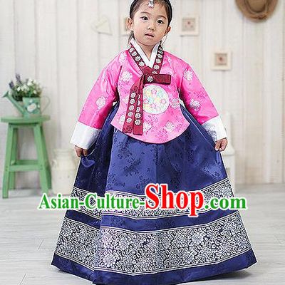 Traditional Korean Handmade Formal Occasions Embroidered Girls Costume, Asian Korean Apparel Bride Hanbok Navy Dress Clothing for Kids