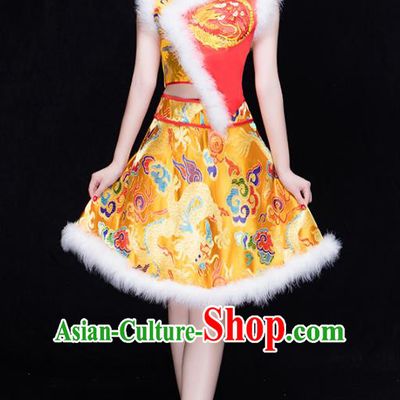 Traditional Chinese Classical Drum Dance Embroidered Costume, China Folk Dance Yangko Clothing for Women
