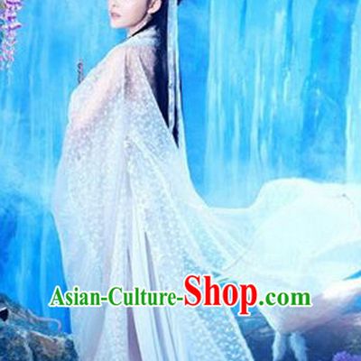 Traditional Ancient Chinese Costume, Costumes Elegant Hanfu Clothing Chinese Imperial Emperess Chiffon White Clothing for Women