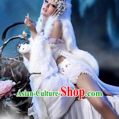 Traditional Ancient Chinese Cosplay Funsbau Costume for Women