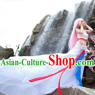 Traditional Ancient Chinese Cos Swordsman White Costumes for Women