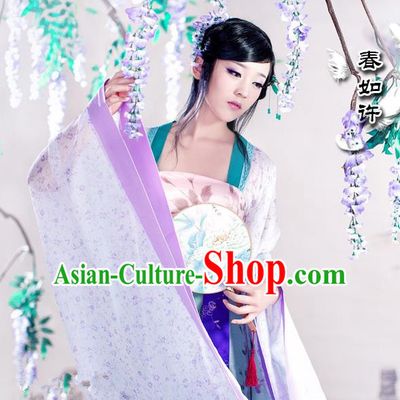 Traditional Ancient Chinese Water Sleeves Dance Costume, Elegant Chinese Tang Dynasty Tailing Embroidered Clothing for Women