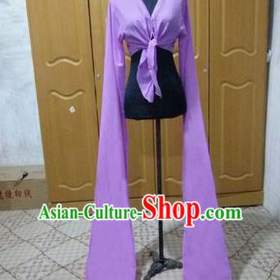 Traditional Chinese Long Sleeve Water Sleeve Dance Suit China Folk Dance Chiffon Long Purple Ribbon for Women