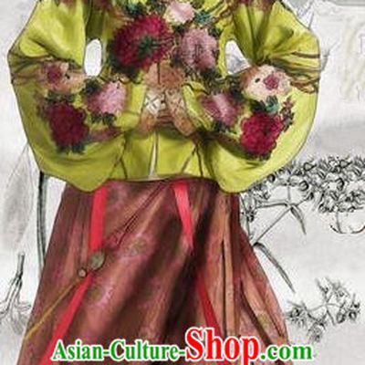Traditional Chinese Ming Dynasty Costume, Chinese Ancient Imperial Empress Embroidery Dress and Accessories Complete Set for Women