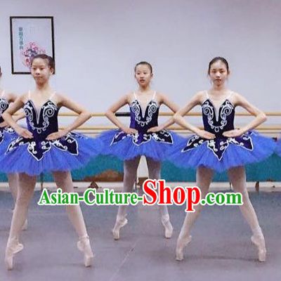Traditional Modern Dancing Compere Costume, Women Opening Classic Chorus Singing Group Dance Dress, Modern Dance Classic Ballet Dance Blue Veil Dress for Women