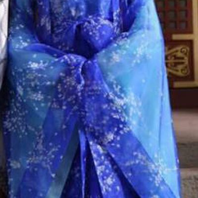 Traditional Ancient Chinese Imperial Empress Costume, Elegant Hanfu Western Wei Dynasty Clothing, Chinese Northern Dynasties Imperial Queen Embroidered Tailing Blue Clothing for Women