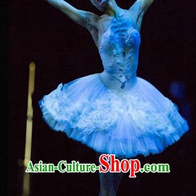 Traditional Modern Dancing Compere Costume, Opening Classic Chorus Singing Group Dance Bubble Dress Tu Tu Dancewear, Modern Dance Classic Ballet Dance Elegant Dress for Women