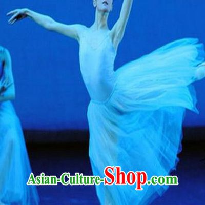 Traditional Modern Dancing Compere Costume, Female Opening Classic Chorus Singing Group Dance Bubble Dress Tu Tu Dancewear, Modern Dance Classic Ballet Dance Long Veil Dress for Women