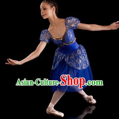 Traditional Modern Dancing Compere Costume, Female Opening Classic Chorus Singing Group Dance Bubble Dress Tu Tu Dancewear, Modern Dance Classic Ballet Dance Blue Veil Dress for Women