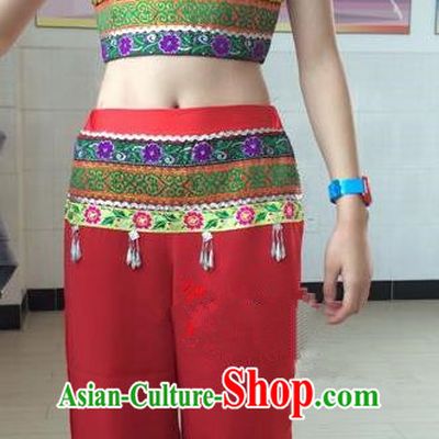 Traditional Chinese Li Nationality Yangge Fan Dancing Costume, Folk Dance Yangko Paillette Tassel Uniforms, Classic Dance Dress Elegant Drum Dance Clothing for Women