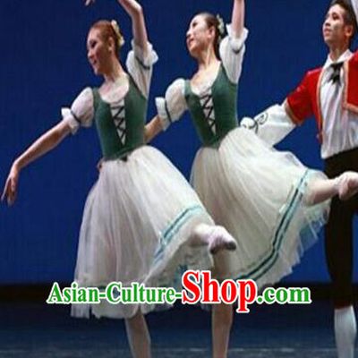 Traditional Modern Dancing Compere Costume, Female Opening Classic Chorus Singing Group Dance Bubble Dress Tu Tu Dancewear, Modern Dance Classic Ballet Dance Veil Dress for Women