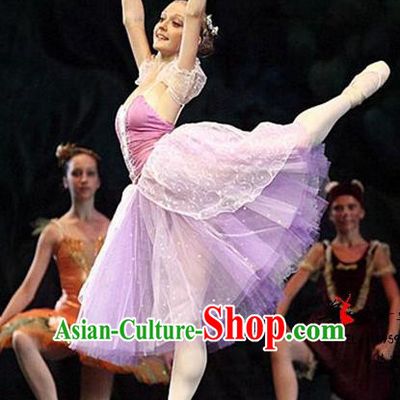 Traditional Modern Dancing Compere Costume, Female Opening Classic Chorus Singing Group Dance Pink Bell Dress Tu Tu Dancewear, Modern Dance Classic Ballet Dance Elegant Dress for Women