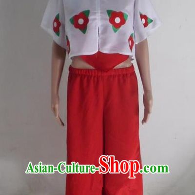 Traditional Chinese Yangge Fan Dancing Costume, Folk Dance Short Sleeve Blouse and Pants Uniforms, Classic Lotus Dance Elegant Dress Drum Dance Clothing for Women
