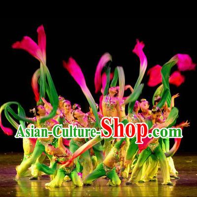 Traditional Chinese Ancient Yangge Fan Dancing Costume, Folk Dance Long Water Sleeve Single Shoulder Uniforms, Classic Tang Dynasty Flying Dance Elegant Fairy Dress Drum Palace Dance Clothing for Women