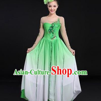 Traditional Chinese Modern Dancing Costume, Women Opening Classic Chorus Singing Group Dance Costume, Modern Dance Big Swing Dress for Women