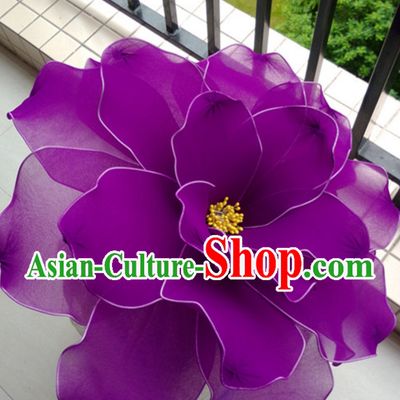 Chinese Traditional Dance Prop Headpieces