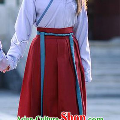 Traditional Ancient Chinese Young Lady Elegant Costume Embroidered Sea Mew Slant Opening Blouse and Slip Skirt Complete Set, Elegant Hanfu Clothing Chinese Han Dynasty Imperial Princess Clothing for Women