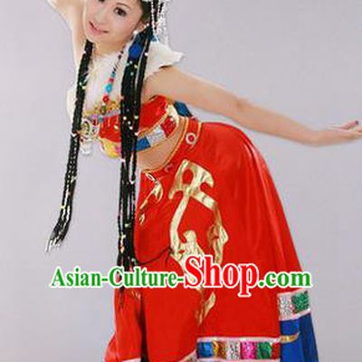 Traditional Chinese Zang Nationality Dancing Costume, Tibetan Female Folk Dance Ethnic Skirt, Chinese Tibetan Minority Nationality Embroidery Costume for Women