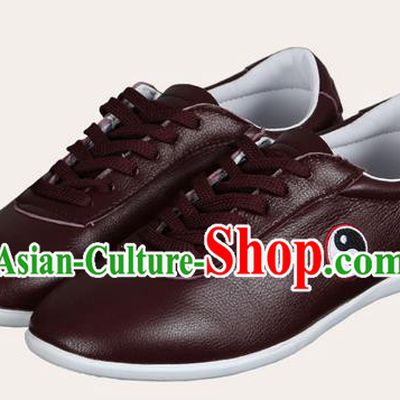 Top Grade Kung Fu Martial Arts Shoes Pulian Shoes, Chinese Traditional Tai Chi Imitation Leather Brown Shoes for Women for Men