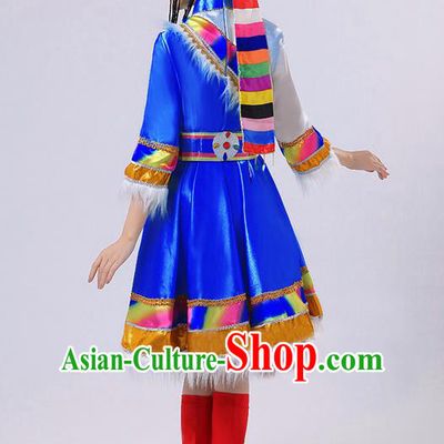Traditional Chinese Zang Nationality Dancing Costume, Tibetan Female Folk Dance Ethnic Pleated Skirt, Chinese Tibetan Minority Blue Dress for Women