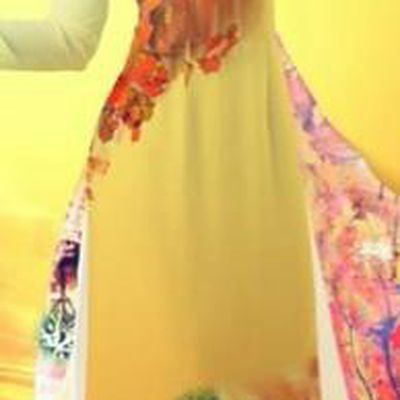 Traditional Top Grade Asian Vietnamese Costumes Classical Printing Wedding Full Dress, Vietnam National Ao Dai Dress Stand Collar Ginger Qipao for Women