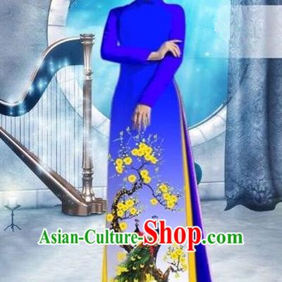 Traditional Top Grade Asian Vietnamese Costumes Classical Printing Peacock Full Dress, Vietnam National Ao Dai Dress Catwalks Debutante Royalblue Qipao for Women