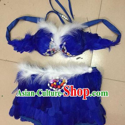 Top Grade Professional Performance Catwalks Costume Royalblue Feather Bikini, Traditional Brazilian Rio Carnival Samba Dance Modern Fancywork Swimsuit for Women