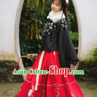 Traditional Chinese Ming Dynasty Young Lady Costume, Elegant Hanfu Clothing Embroidered Horse-face Skirt, Chinese Ancient Princess Clothing for Women