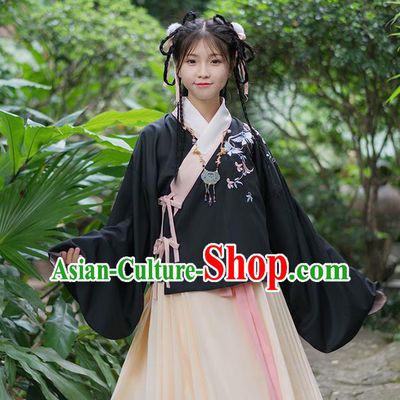 Traditional Chinese Han Dynasty Young Lady Costume, Elegant Hanfu Clothing Embroidered Blouse, Chinese Ancient Princess Clothing for Women