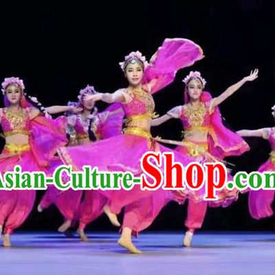 Traditional Chinese Mongol Nationality Dancing Costume, Mongols Female Folk Indian Dance Clothing, Chinese Belly Dance Embroidery Rosy Costume for Women