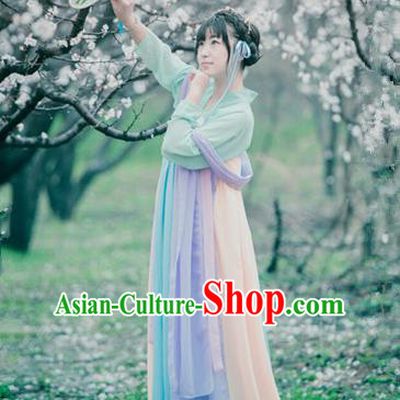 Traditional Ancient Chinese Palace Lady Costume Blouse and Skirt, Elegant Hanfu Clothing Chinese Song Dynasty Princess Embroidered Dress for Women