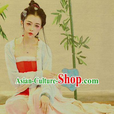 Traditional Ancient Chinese Young Lady Costume, Elegant Hanfu Clothing Chinese Tang Dynasty Imperial Concubine Clothing for Women